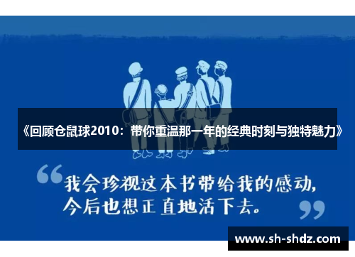 《回顾仓鼠球2010：带你重温那一年的经典时刻与独特魅力》
