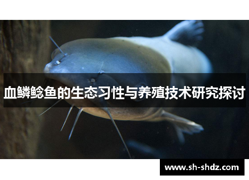 血鳞鲶鱼的生态习性与养殖技术研究探讨