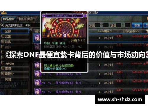 《探索DNF最便宜紫卡背后的价值与市场动向》