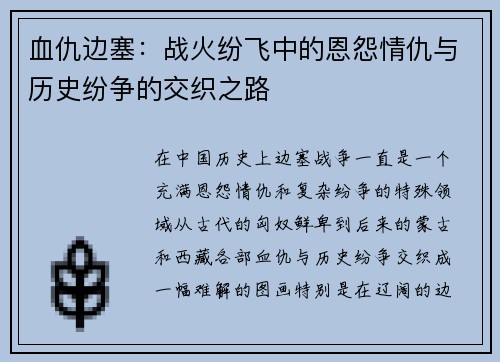 血仇边塞：战火纷飞中的恩怨情仇与历史纷争的交织之路