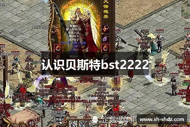 认识贝斯特bst2222